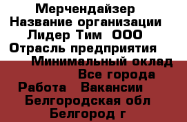 Мерчендайзер › Название организации ­ Лидер Тим, ООО › Отрасль предприятия ­ BTL › Минимальный оклад ­ 17 000 - Все города Работа » Вакансии   . Белгородская обл.,Белгород г.